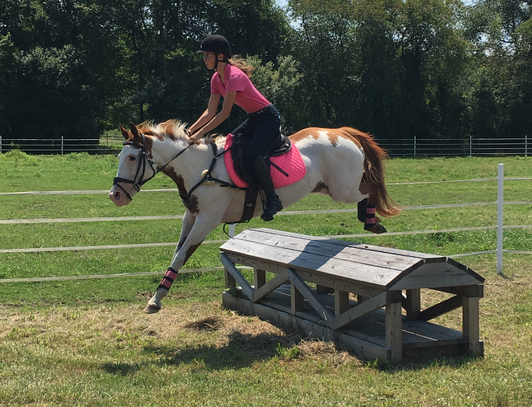 Split Elm Equestrian Horse Camp Calendar 2016